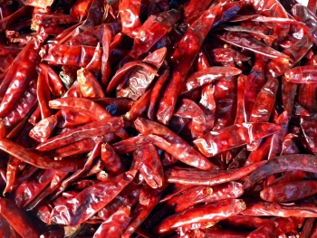 RED DRY CHILLI